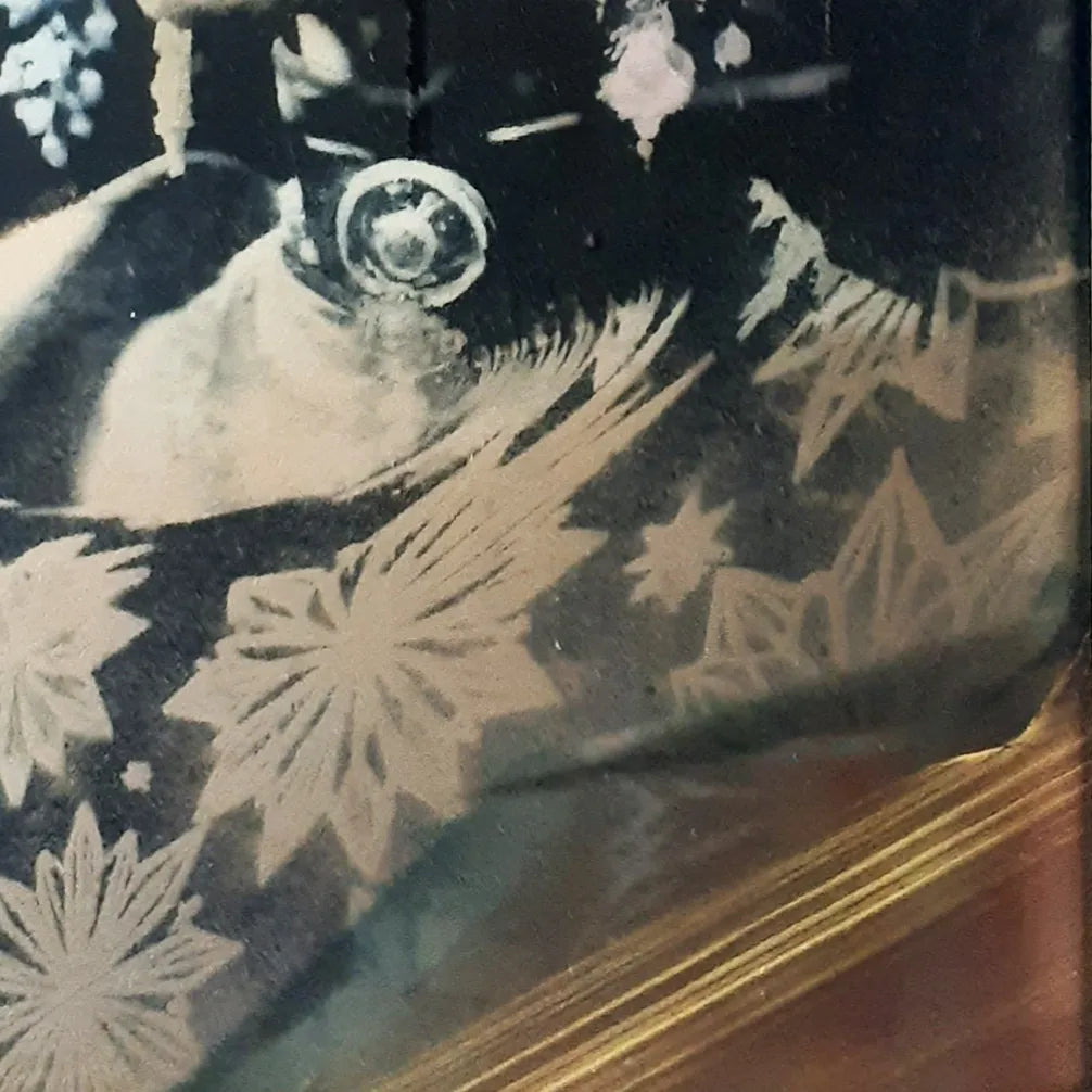 聖夜のゲスト - Petra as Progressive(原画マルチプル)